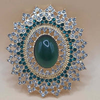 Pesach Passover Pin